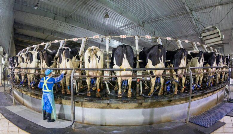 China sufre por exceso… de leche